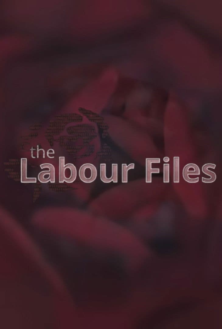 The Labour Files