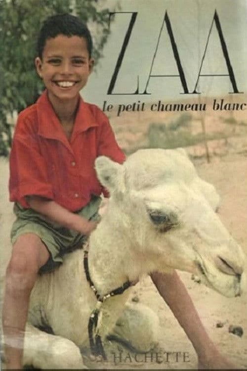 Zaa, the Little White Camel