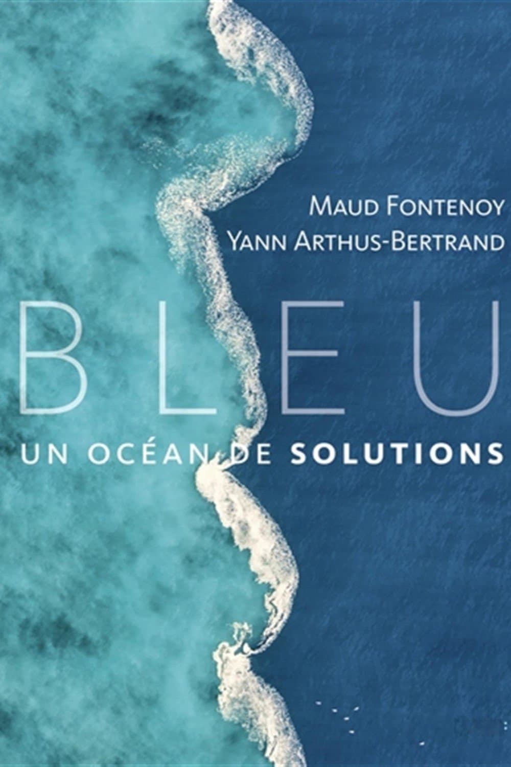 Bleu, un océan de solutions