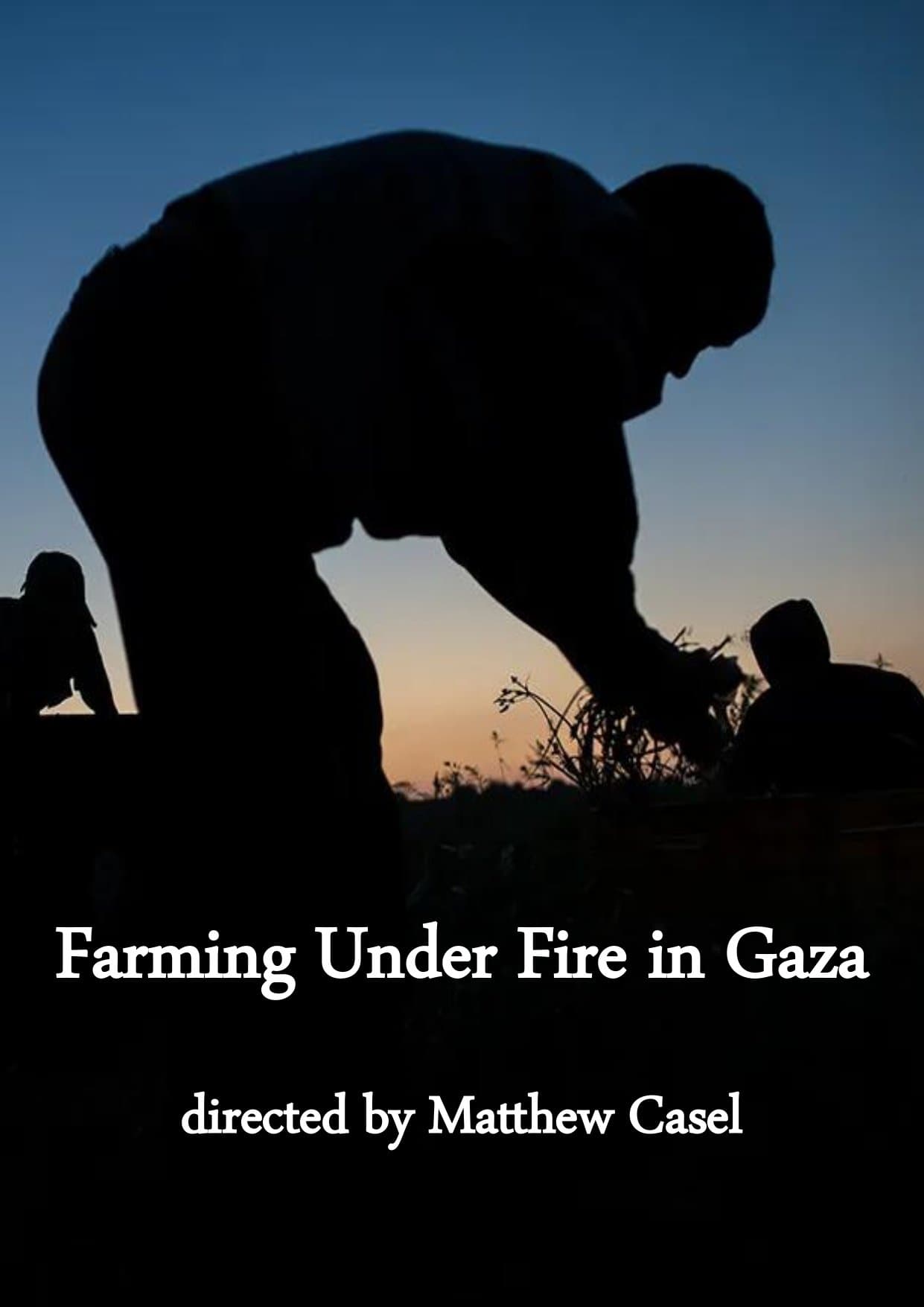 Farming Under Fire in Gaza