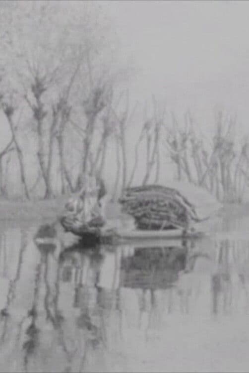 Khyber Pass; Kashmir; Agra