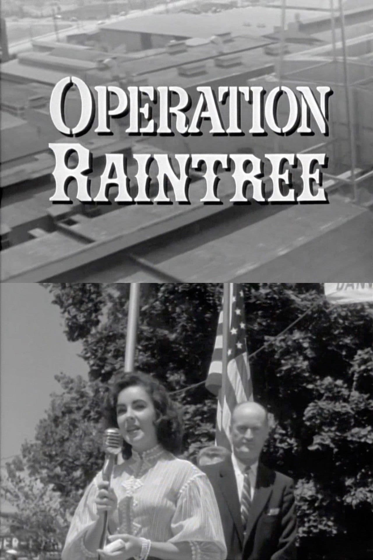 Operation Raintree