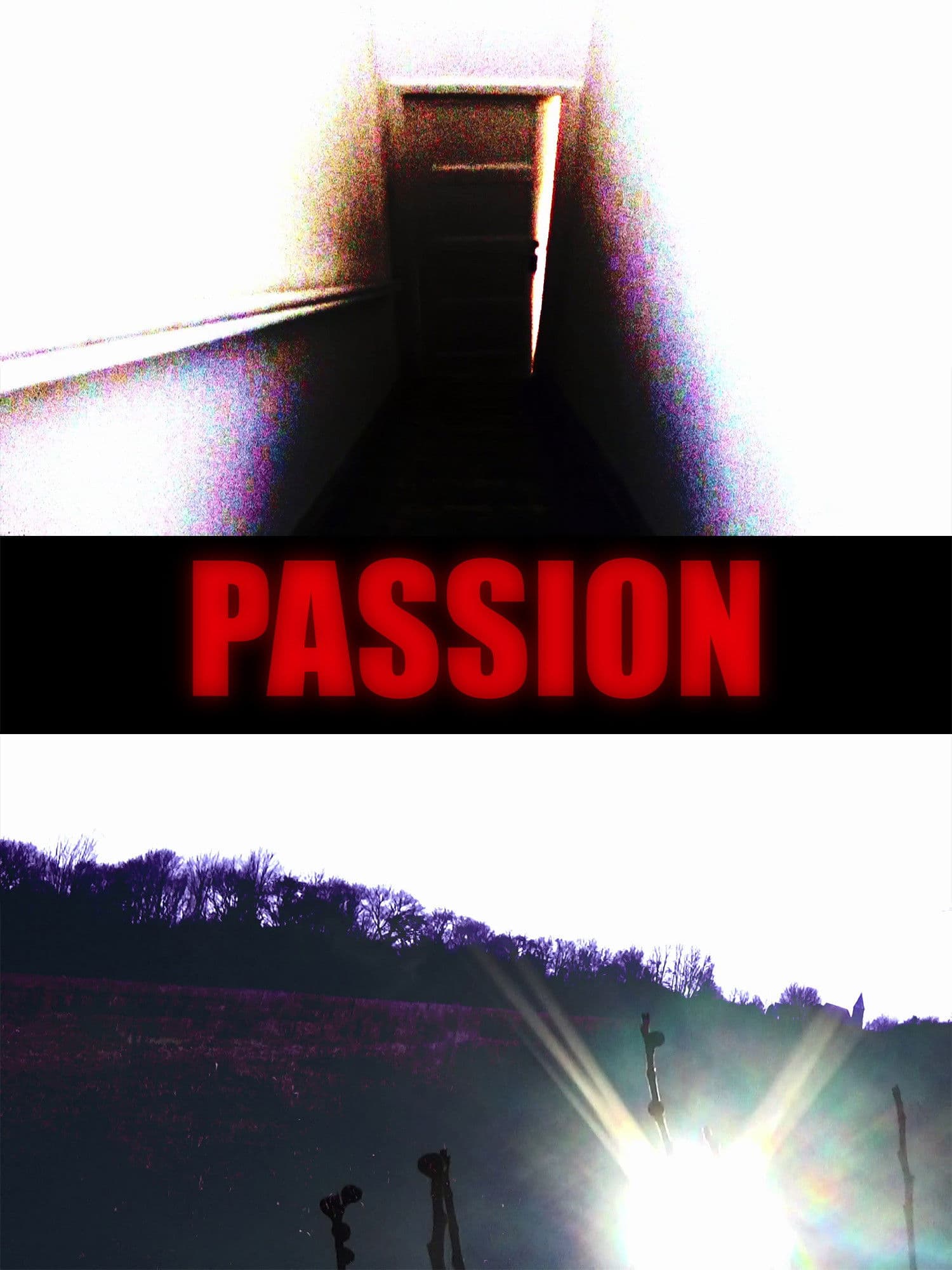 Passion