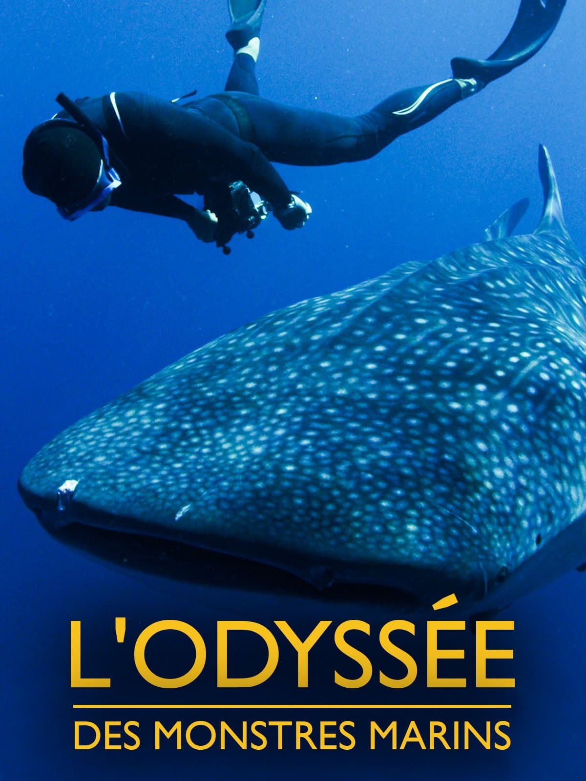 Swimming with Legends