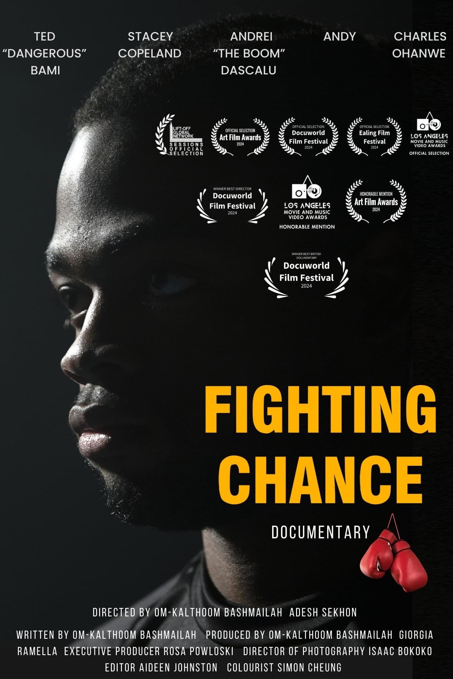 Fighting Chance