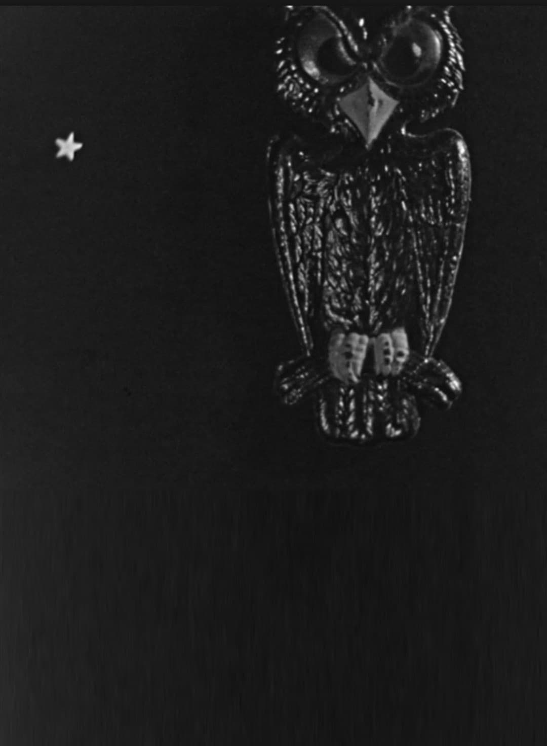 The Spider and the Fly