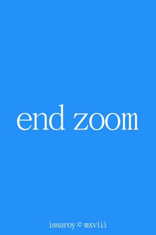 End Zoom