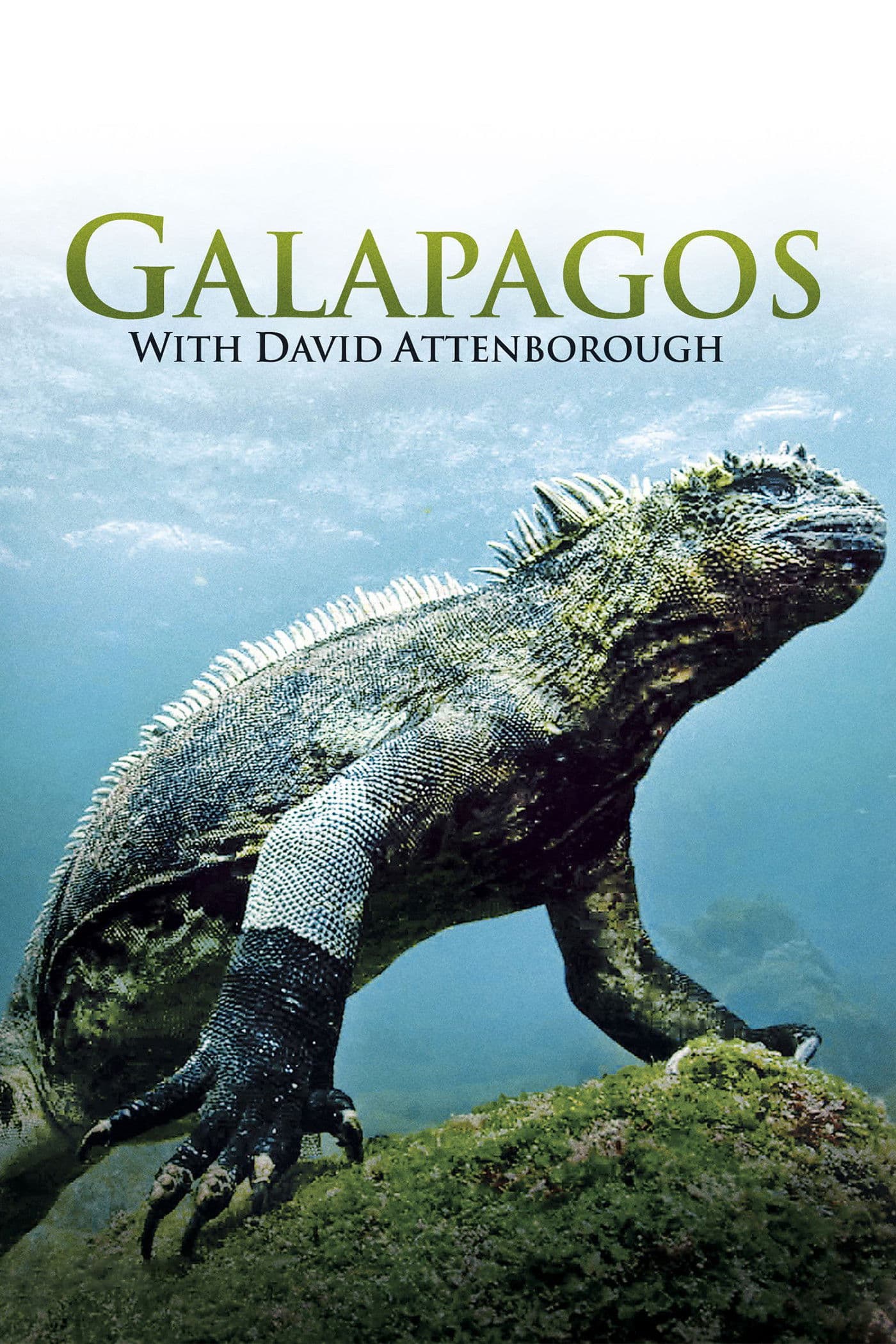 Galapagos 3D with David Attenborough