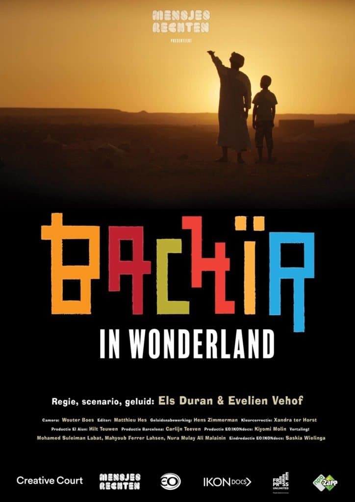 Bachir in Wonderland