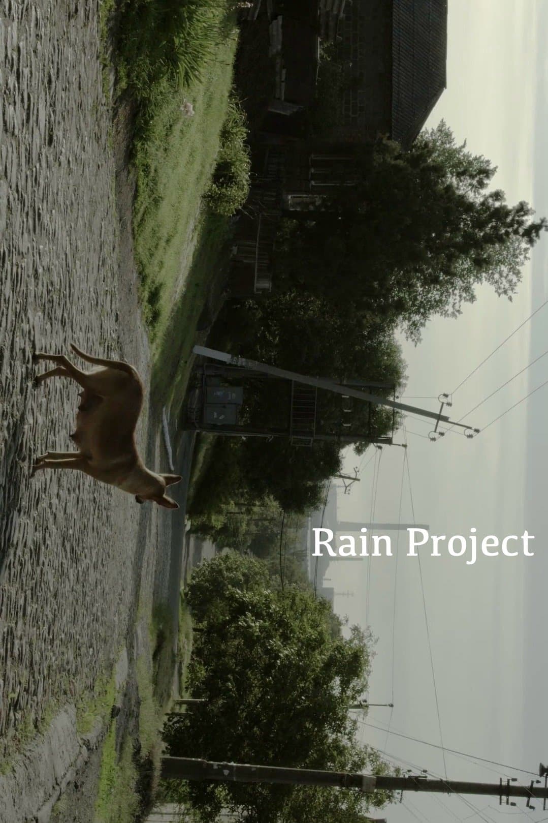 Rain Project