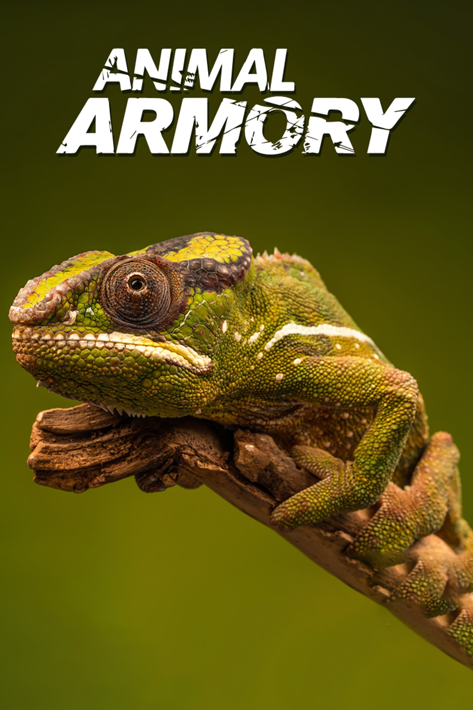 Animal's Armory