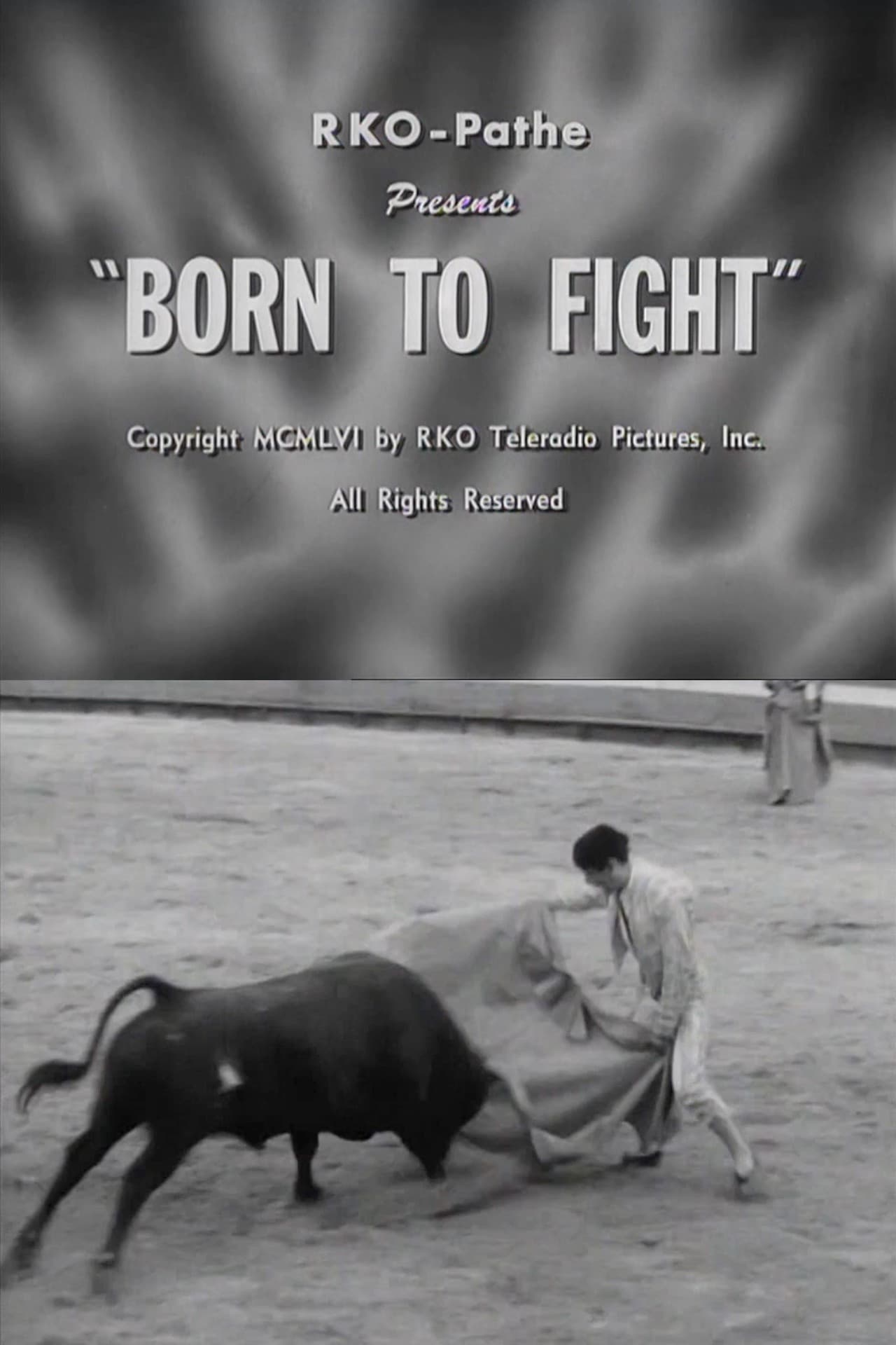 Born to Fight