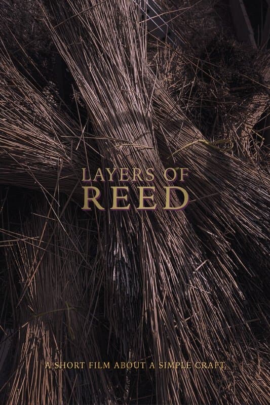 Layers of Reed