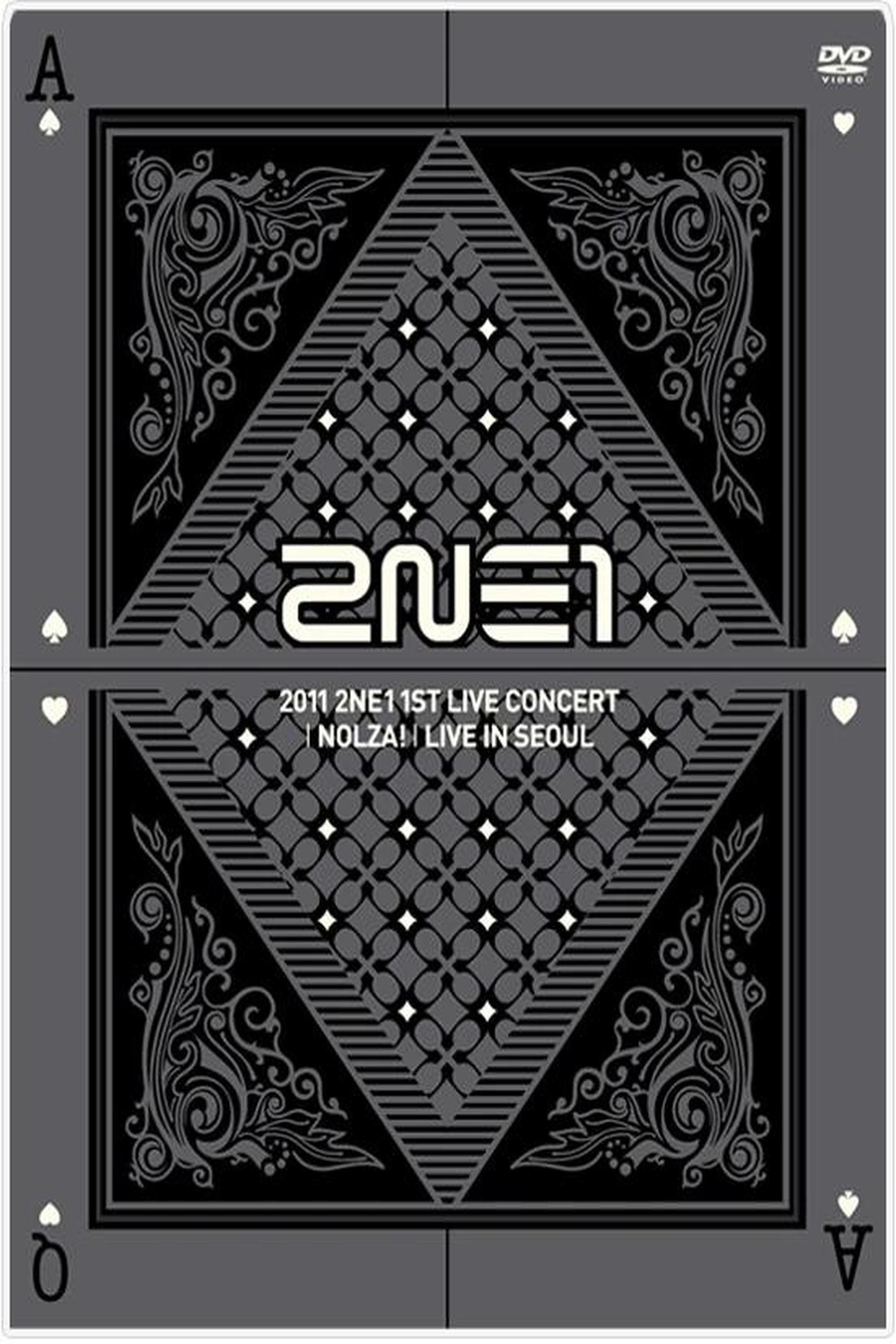 2NE1: 1st Live Concert NOLZA