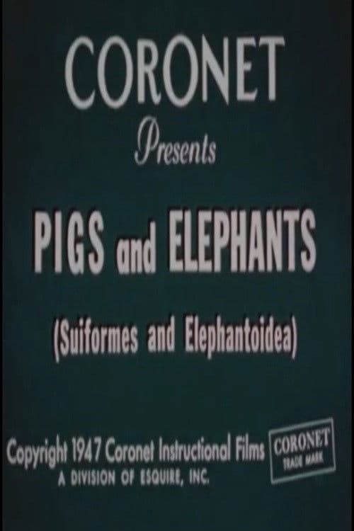 Pigs and Elephants (Suiformes and Elephantoidea)