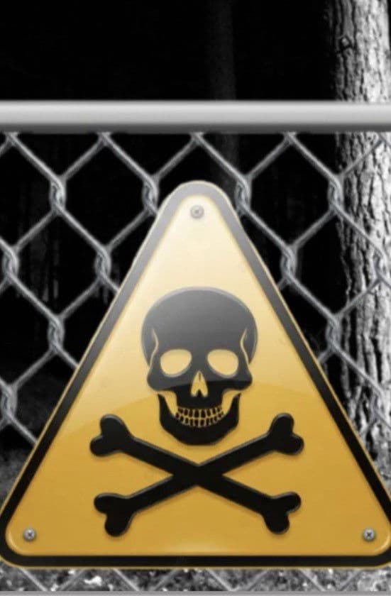 Influencer into the woods