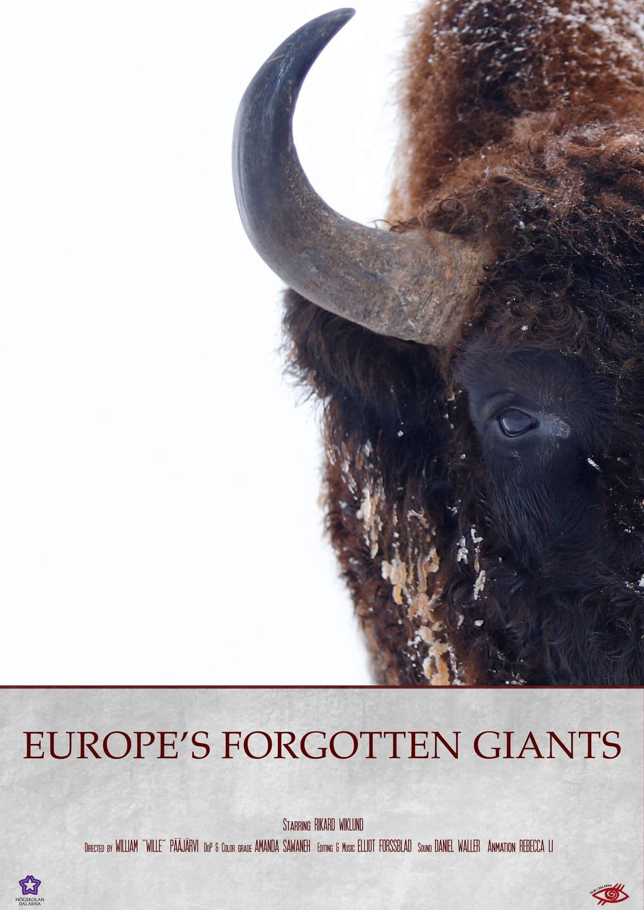 Europe's Forgotten Giants