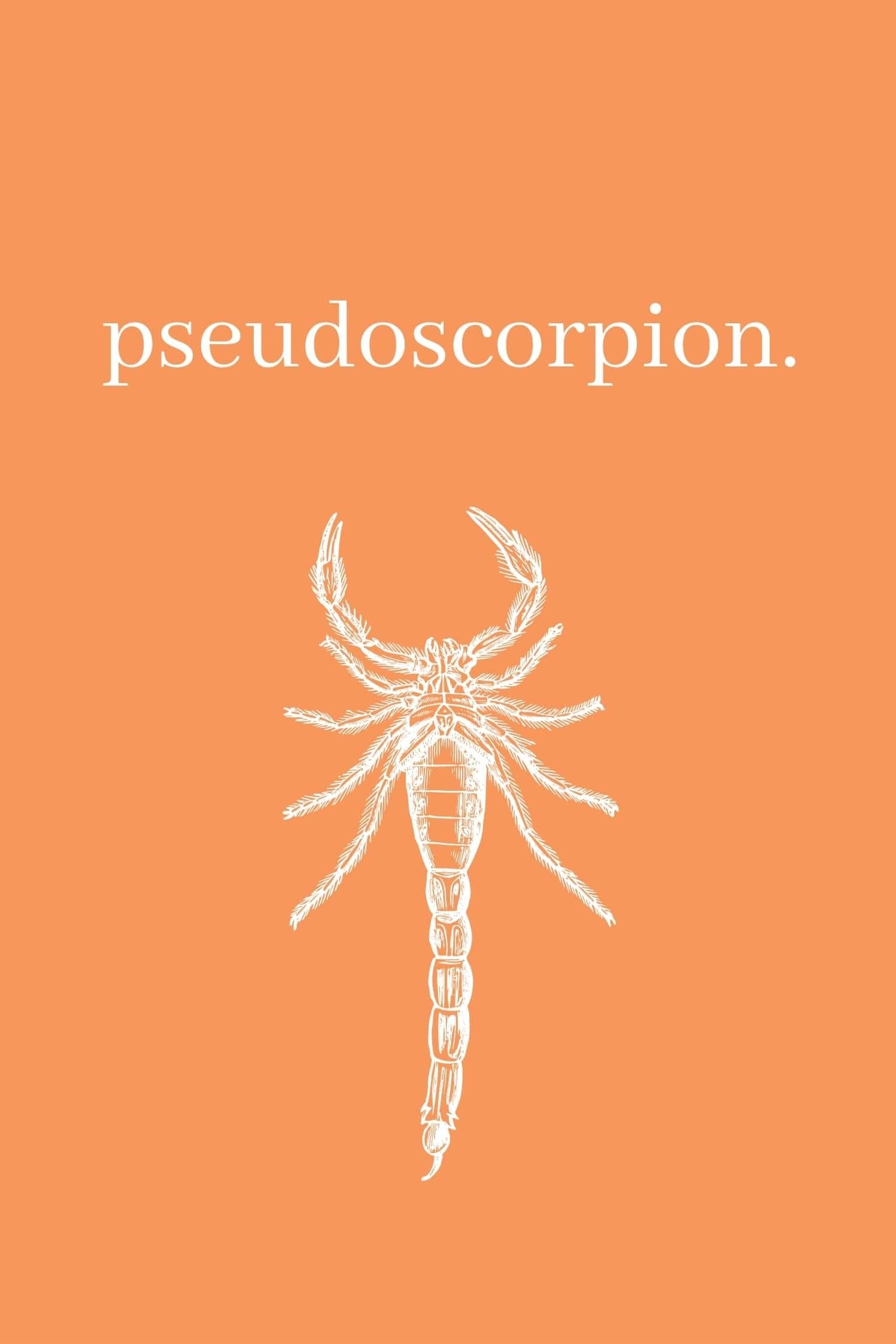 Pseudoscorpion
