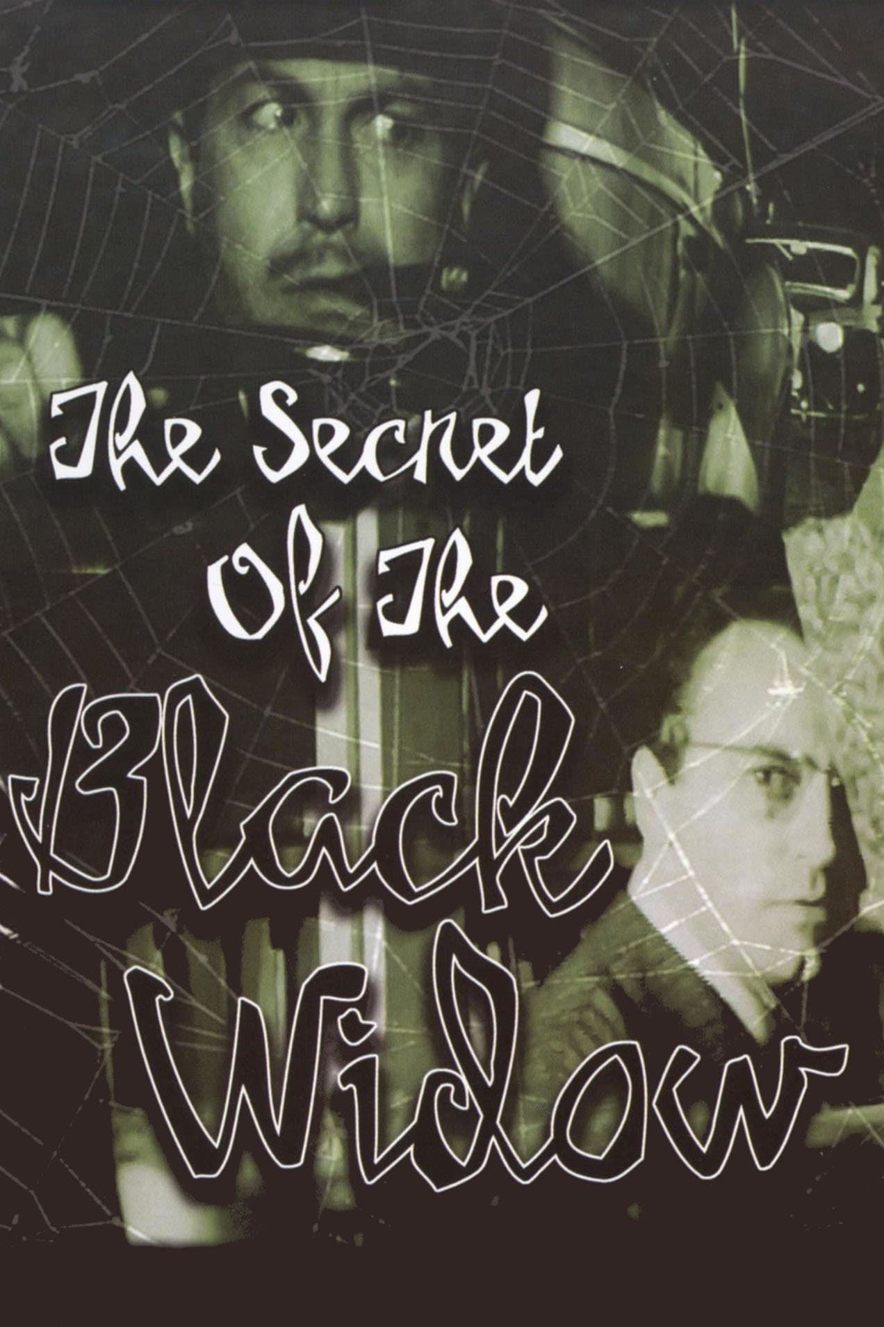 The Secret of the Black Widow